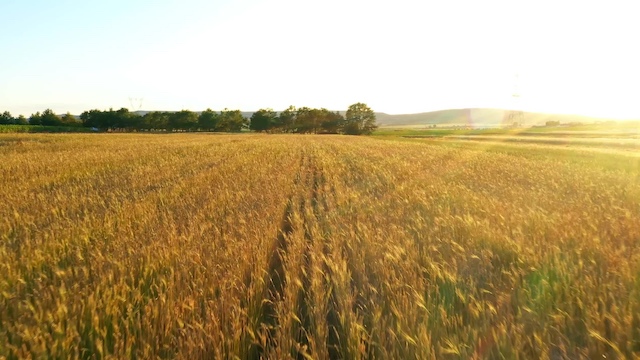 Βιβλικοί στίχοι ανά θέμα – Αιώνια ζωή