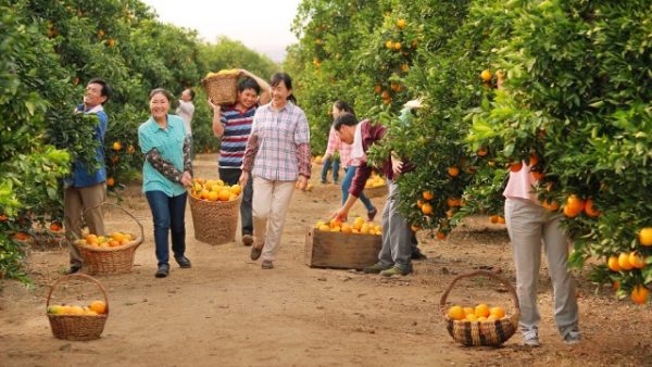 Βλέποντας τις παροχές του Θεού για την ανθρωπότητα, μέσα από το βασικό περιβάλλον διαβίωσης που Εκείνος δημιουργεί γι’ αυτήν