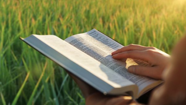 ιστορία της Βίβλου